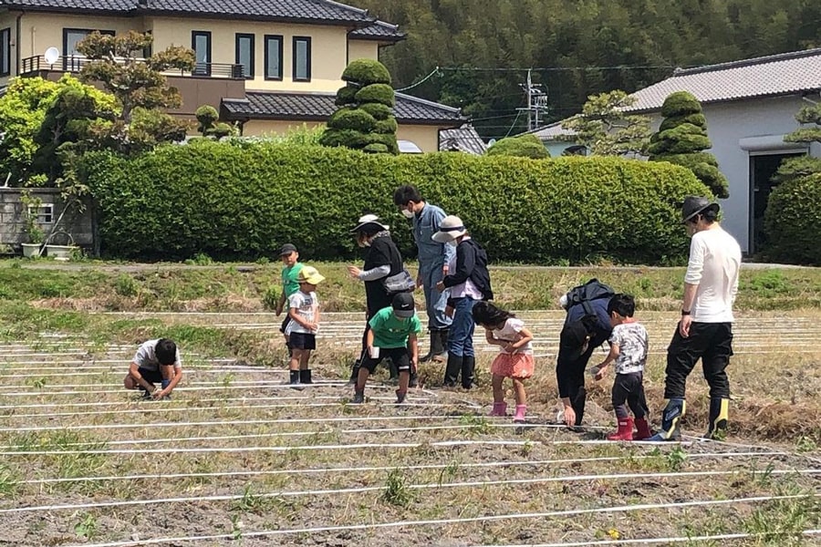 銀の山ひまわり畑