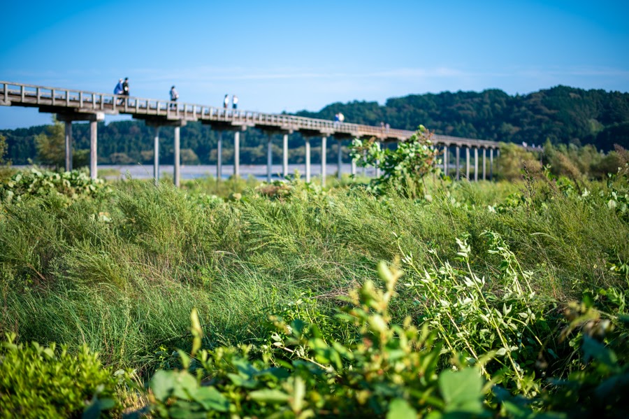 大井川